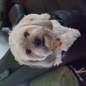 Meet your Posher, Cindi